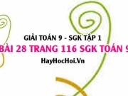 Giải bài 28 trang 116 SGK Toán 9 tập 1